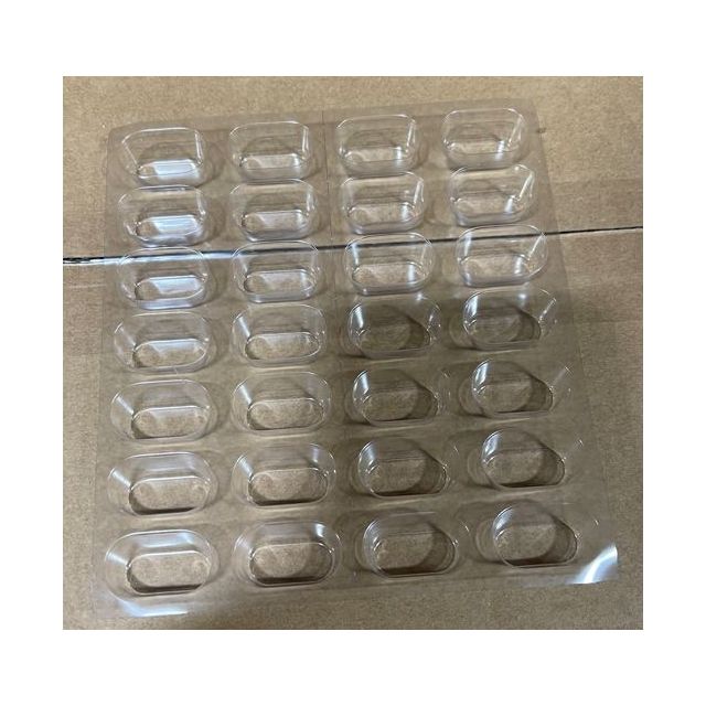 LARGE 31 DOSE PVC (CLEAR) BLISTER - 1000/CASE - 200-31L-PVC-J