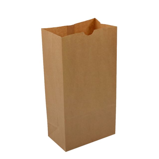 SORN12  NATURAL KRAFT BAGS 12 - SORN12