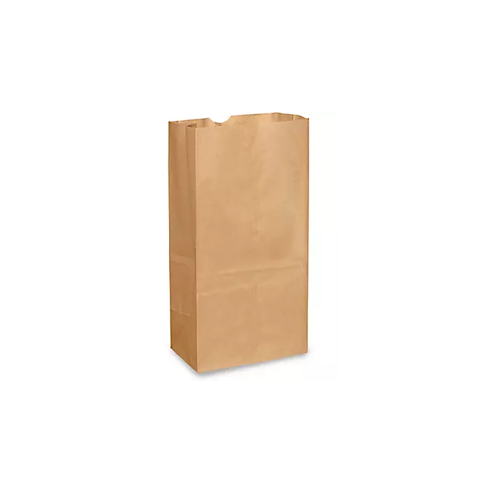 PAPER BAG - BROWN KRAFT - 8-1/4 X 5-5/16 X 16-1/8 - 20LB - BKBJ20