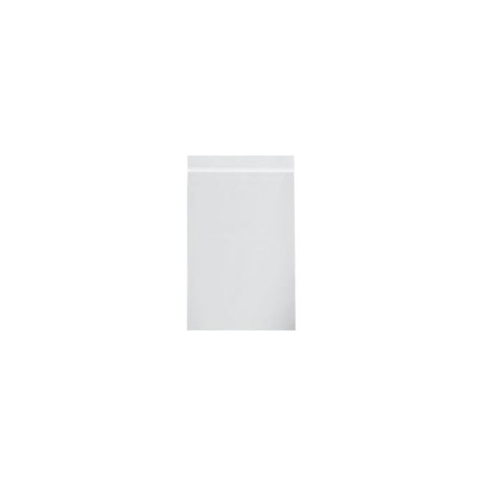 RECLOSABLE ZIP BAG - 6 X 8 - 4 MIL - 1000/CASE - C20
