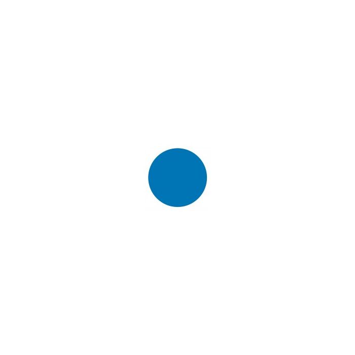 DOT - 1/4 DIA