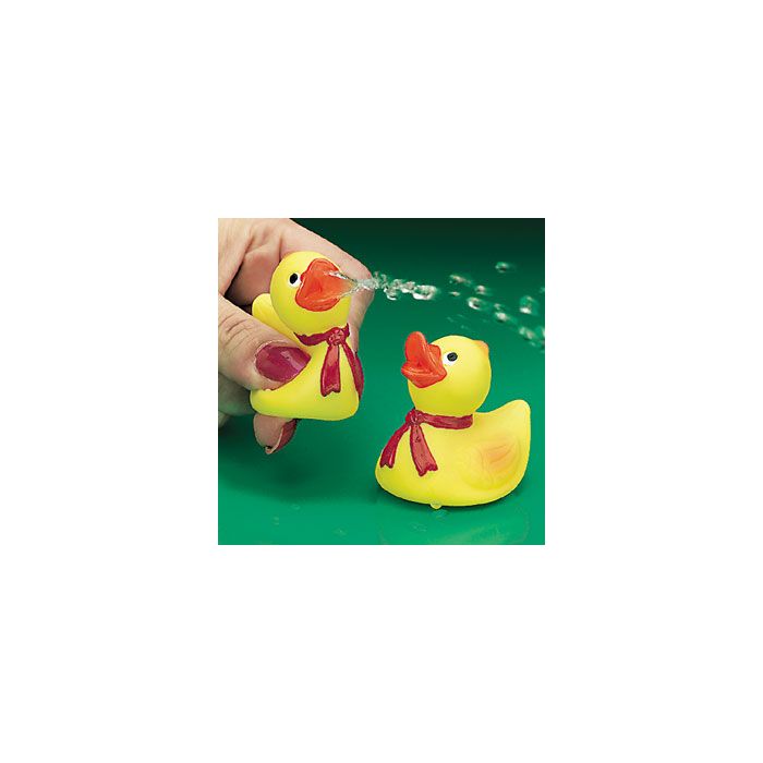 RUBBER DUCKY SQUIRT TOYS - 2 - 24/PACK