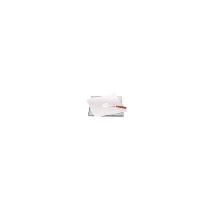 REGULAR GLASS OINTMENT SLAB - 12 X 12 X 1/4 - ON23304