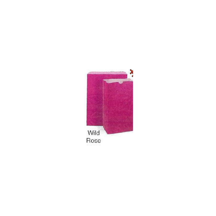 BAG - UNPRINTED - 5 X 3-1/8 X 9-5/8 - 4