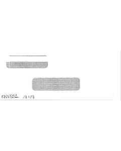 ENVELOPE - DUAL WINDOW - QS-1 LASER STATEMENTS - ENVQS1