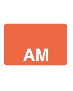 LABEL - AM REVERSE PRINT WHITE ON ORANGE - 125 X 1 - 1000/BOX - MT1.25AM-ORAN1C