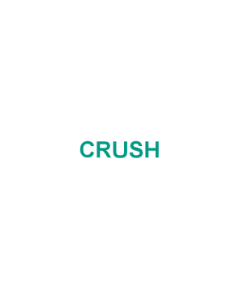 STAMP - SELF-INKING - 9/16 X 1-1/2 - CRUSH