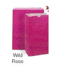 BAG - UNPRINTED - 5 X 3-1/8 X 9-5/8 - 4