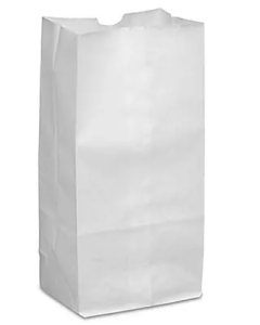 PAPER BAG - FLAT BOTTOM - WHITE - 5 X 3-1/4 X 9-3/4 - 4LB - WSQJ4