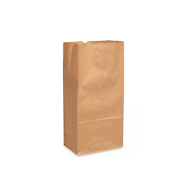 BROWN KRAFT PAPER BAG - 12LB - BKBJ12