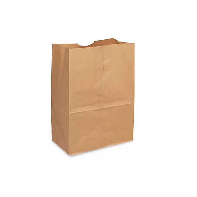 BROWN KRAFT BAGS - 1/6 BARREL - BKBJ16