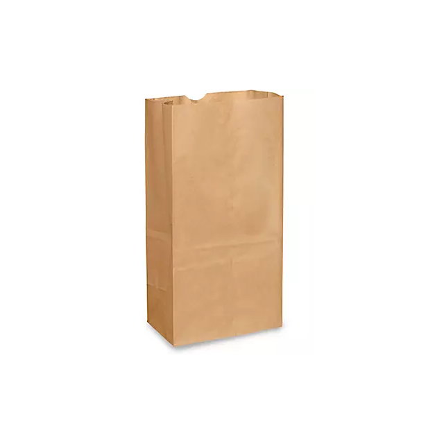 BROWN KRAFT PAPER BAG - 20LB - BKBJ20