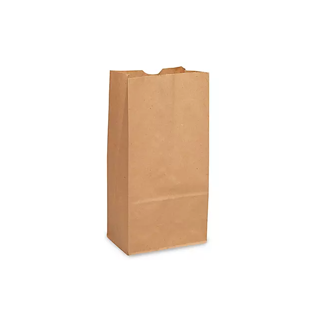 BROWN KRAFT PAPER BAG - 4LB - BKBJ4