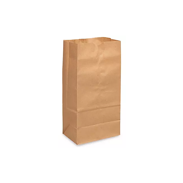 BROWN KRAFT PAPER BAG - 8LB - BKBJ8