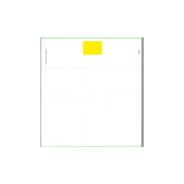 BLANK LASER DUAL WEB RX FORM - 8-1/2 X 9 - 1000/CASE - LDW7