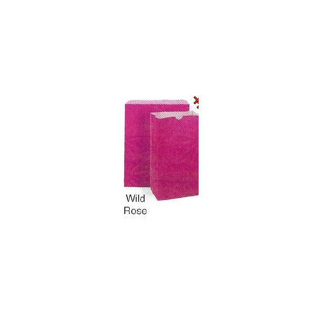 BAG - UNPRINTED - 5 X 3-1/8 X 9-5/8 - 4