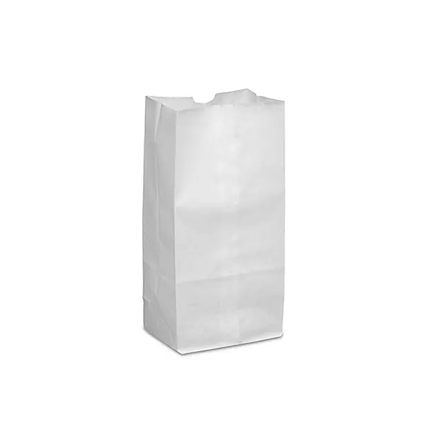 WHITE FLAT BOTTOM BAG - 4LB - WSQJ4