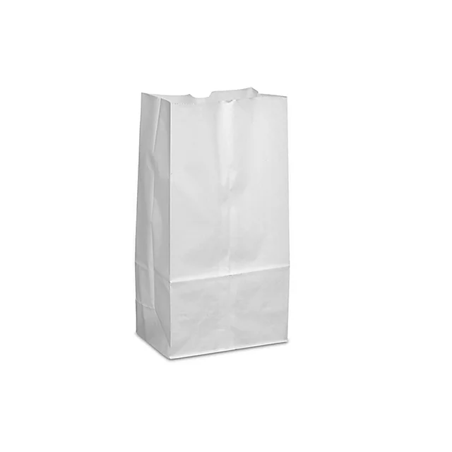 WHITE FLAT BOTTOM BAG - 6LB - WSQJ6
