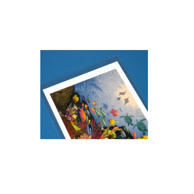 OPEN END 2 X 4 CLEAR POLY 3 MIL